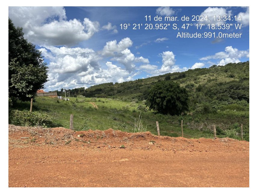 Imagem leilão