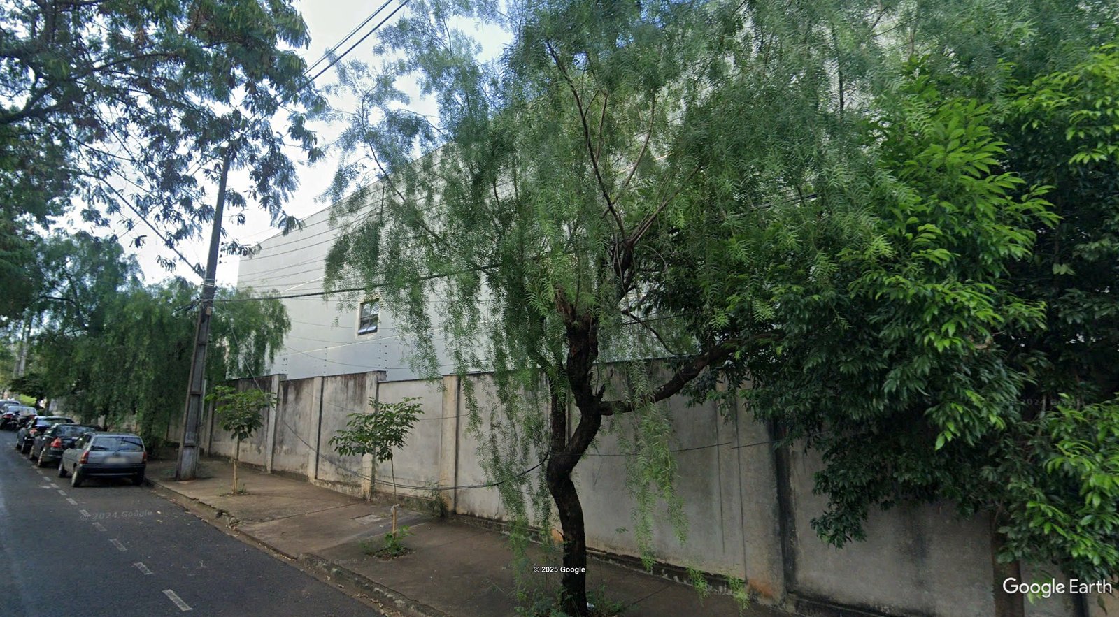 Imagem leilão