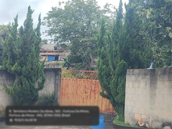Imagem leilão