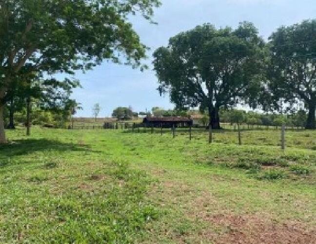 ID 21533 - Lote:
    1 - 202605000160 - Área rural - Propriedade Rural em Santa Fé de Goi em Santa Fé de Goiás/GO - foto 3