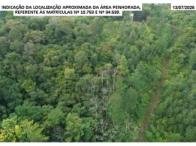 Imagem leilão