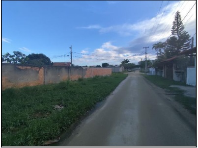 Imagem leilão