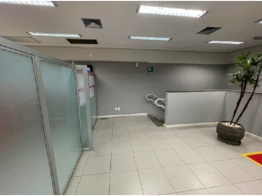 Imagem leilão