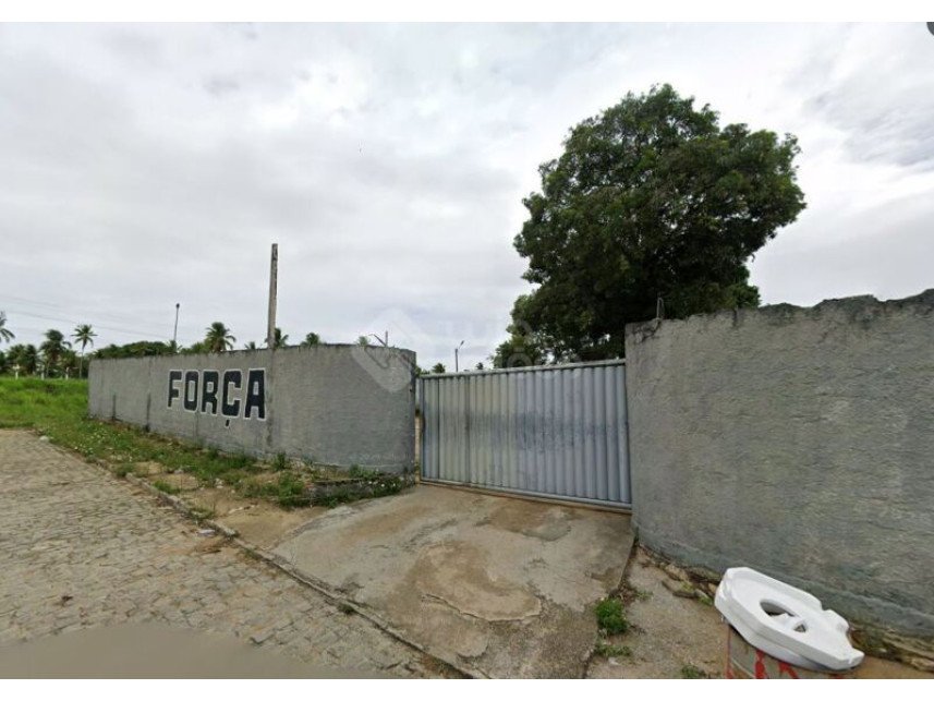 Imagem leilão