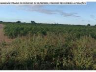 Fazenda c/ 240 ha - Araripina/PE em Araripina/PE