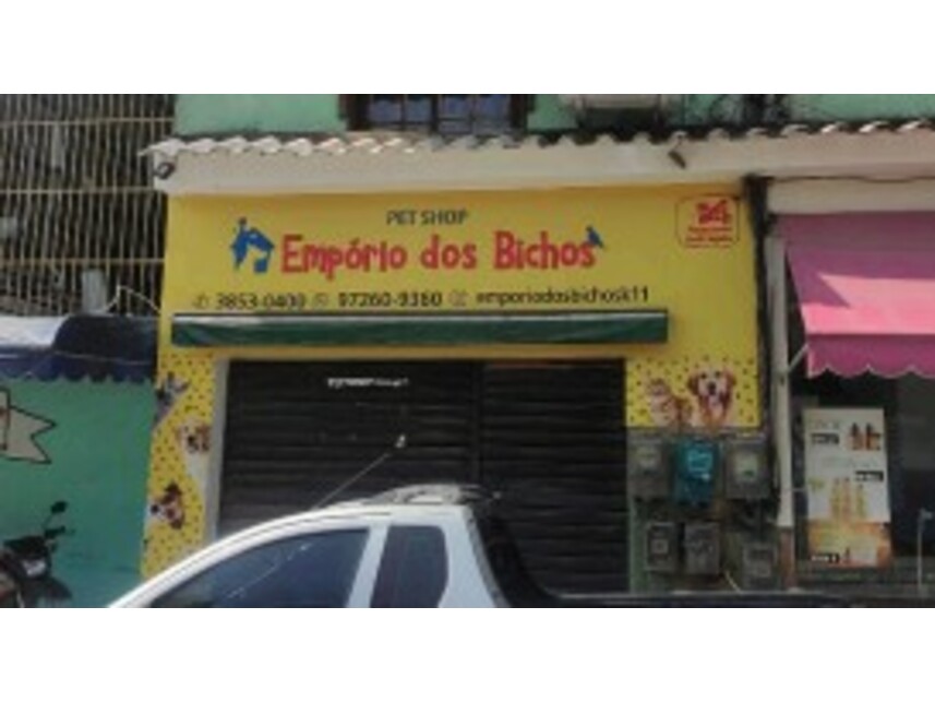 Imagem leilão