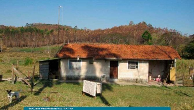 Imagem leilão