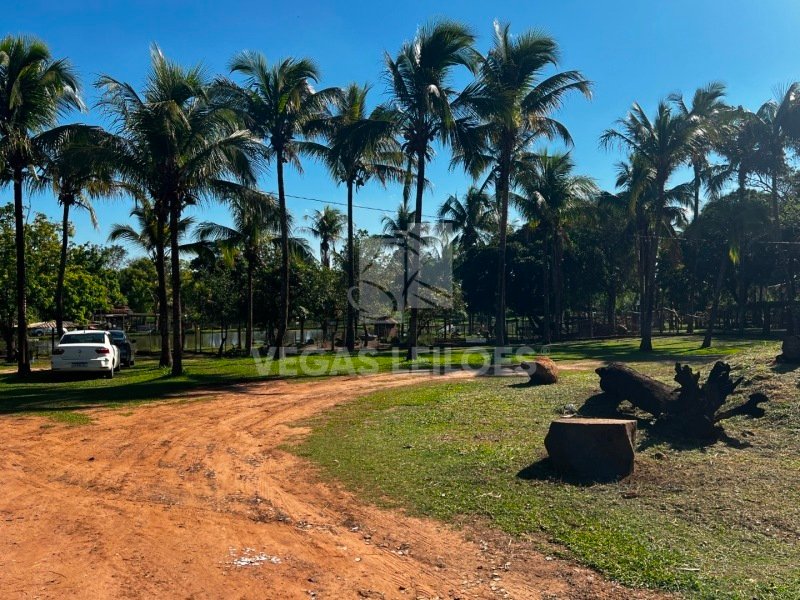 Imagem leilão