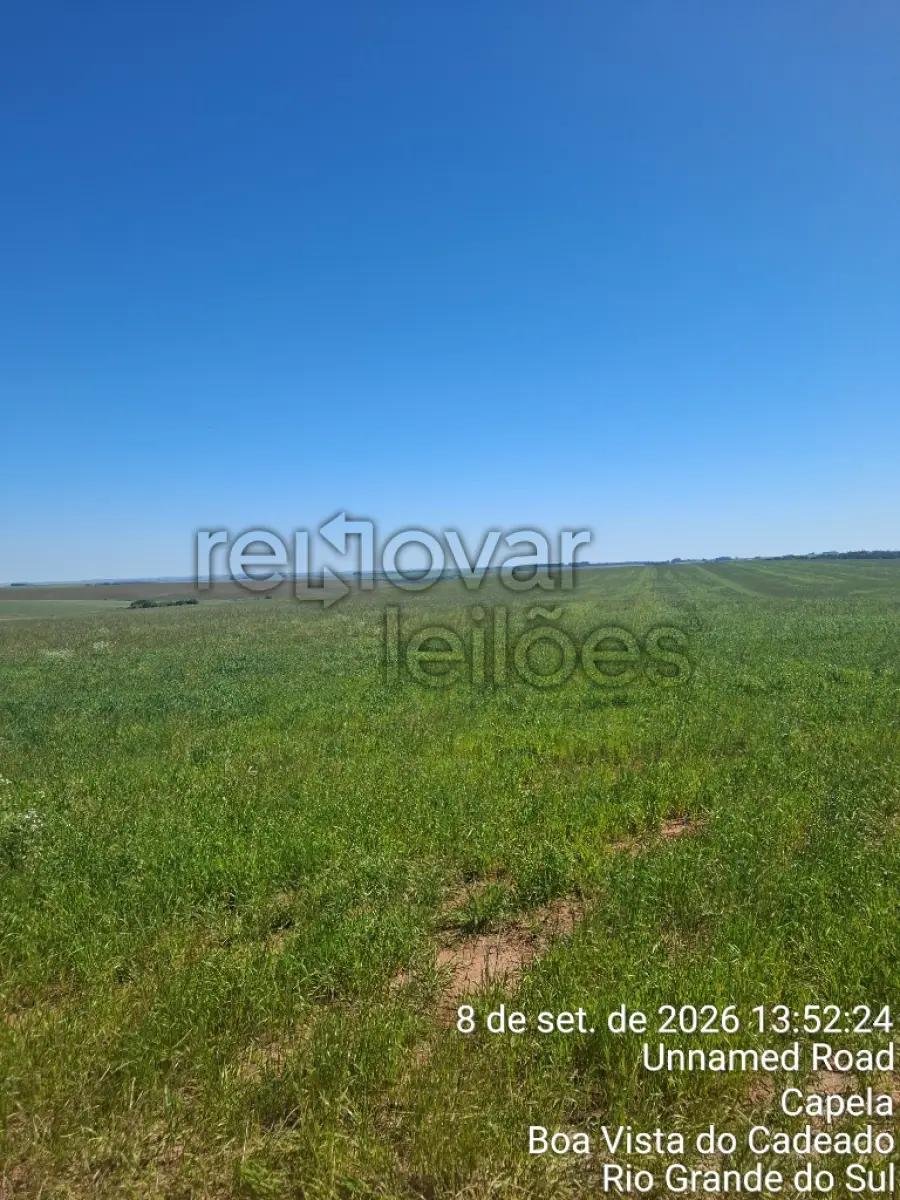 ÁREA RURAL C/ 24,50 HAC - BOA VISTA DO CADEADO / RS em Boa Vista do Cadeado/RS