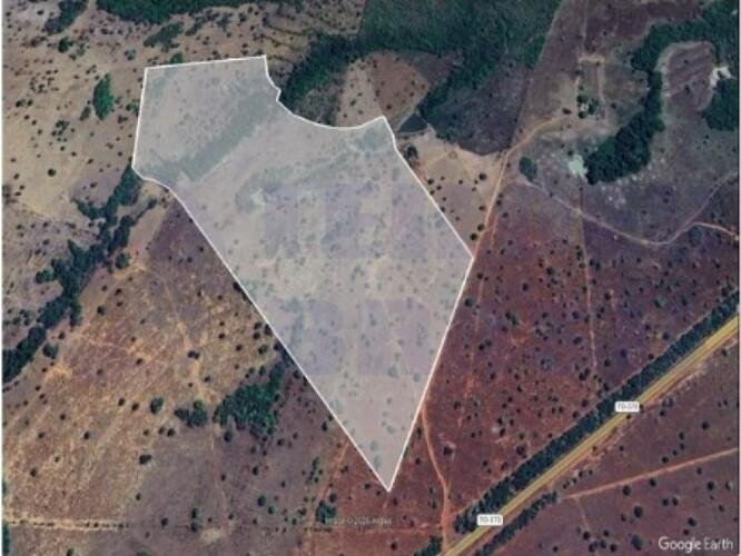 ID Bem 147625 - Lote:
    1 - 3.466 - ARAGUACU/TO - GLEBA - COM ÁREA DE 52.66.00ha em Araguaçu/TO - foto 9