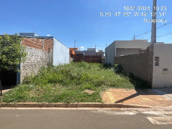 Imagem leilão