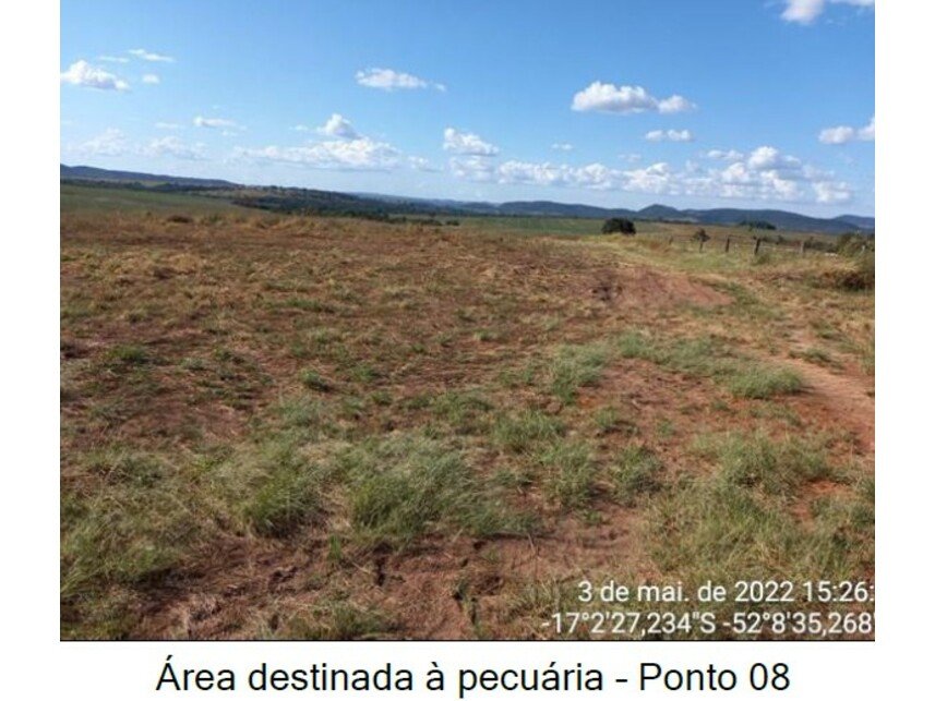 Imagem leilão