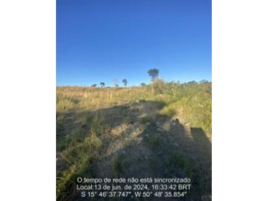 Imagem leilão