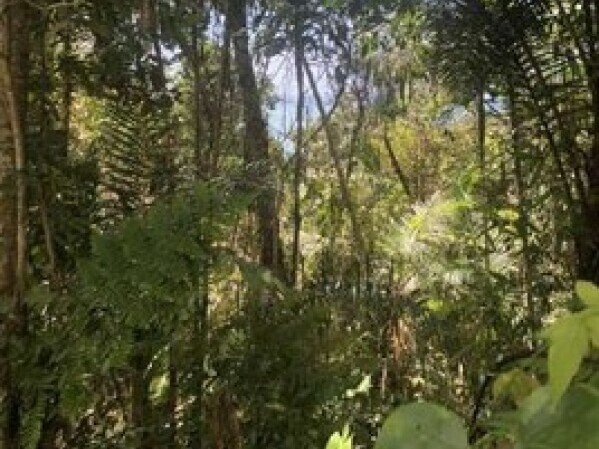 LOTE URBANO de 600m² localizado no Residencial ALDEIAS .. em Ubatuba/SP - foto 4