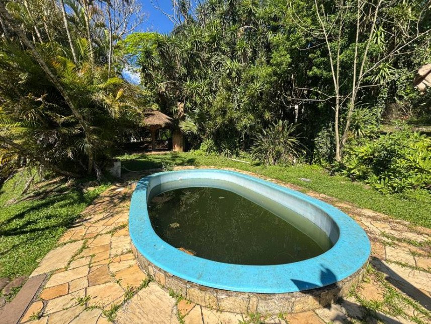 Imagem leilão