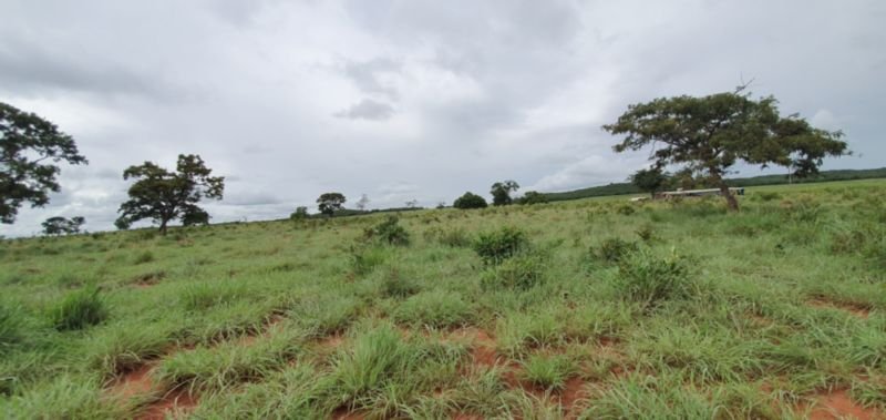 IMÓVEL RURAL COM ÁREA DE 1.899,2700HAS, "FAZENDA VALENT.. em Rosário Oeste/MT - foto 28