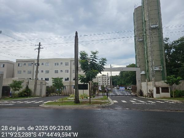 Imagem leilão