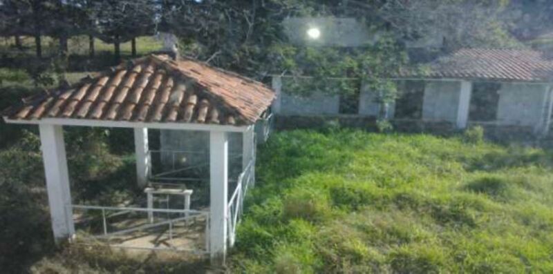Imagem leilão