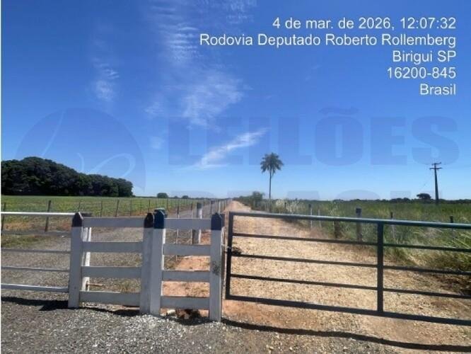 Imagem leilão