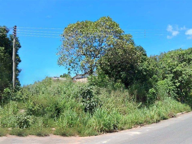 Terreno MINAÇU | GOIÁS em Minaçu/GO - foto 11