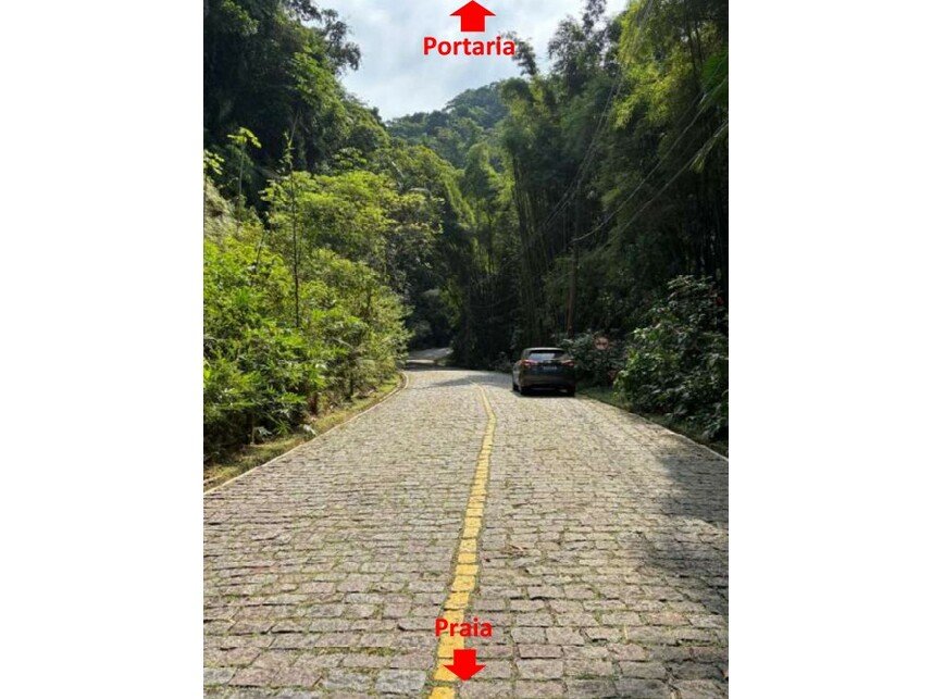 Imagem leilão