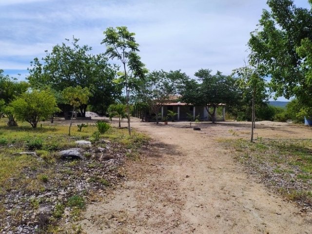 
                        Imóvel Rural, 76ha, Sertânia/PE                     em Sertânia/PE - foto 3