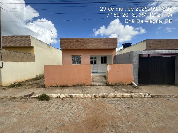 Imagem leilão