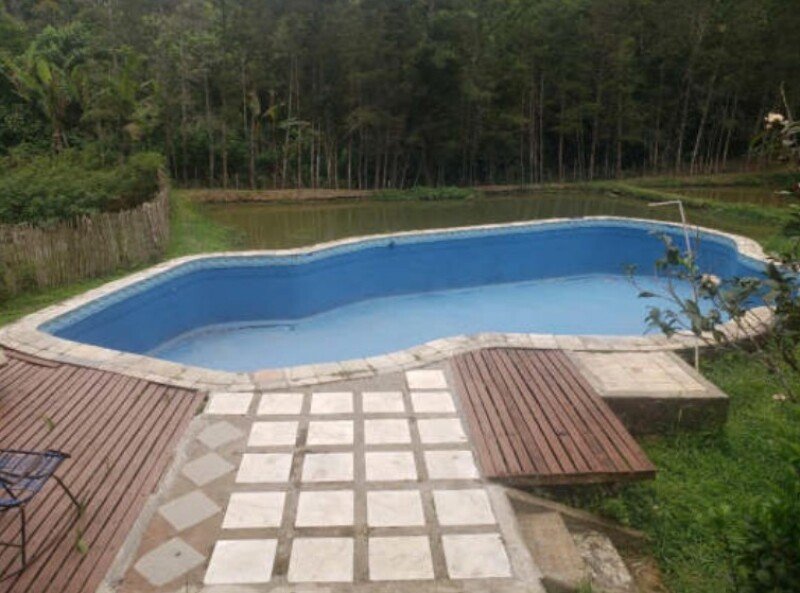 Imagem leilão
