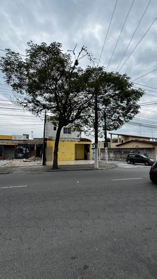 Imagem leilão