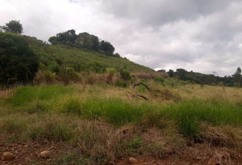 matrícula nº 8.429 em Campo Erê/SC - foto 4