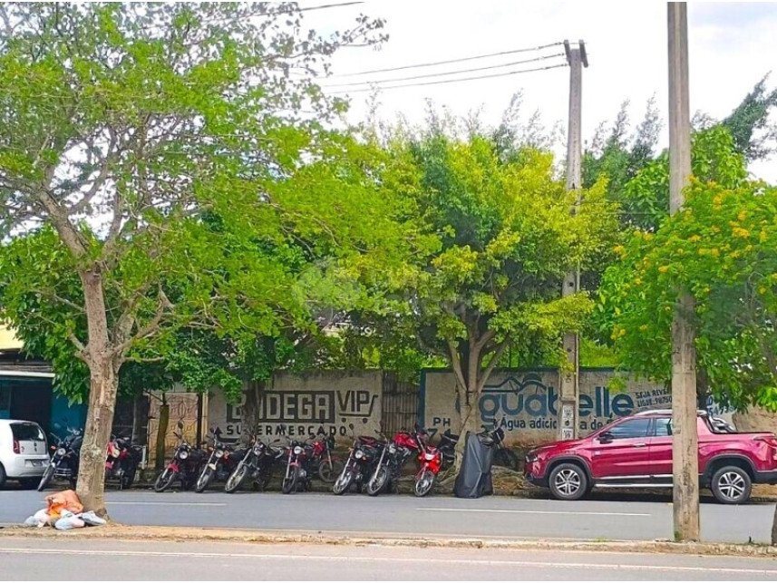 Imagem leilão