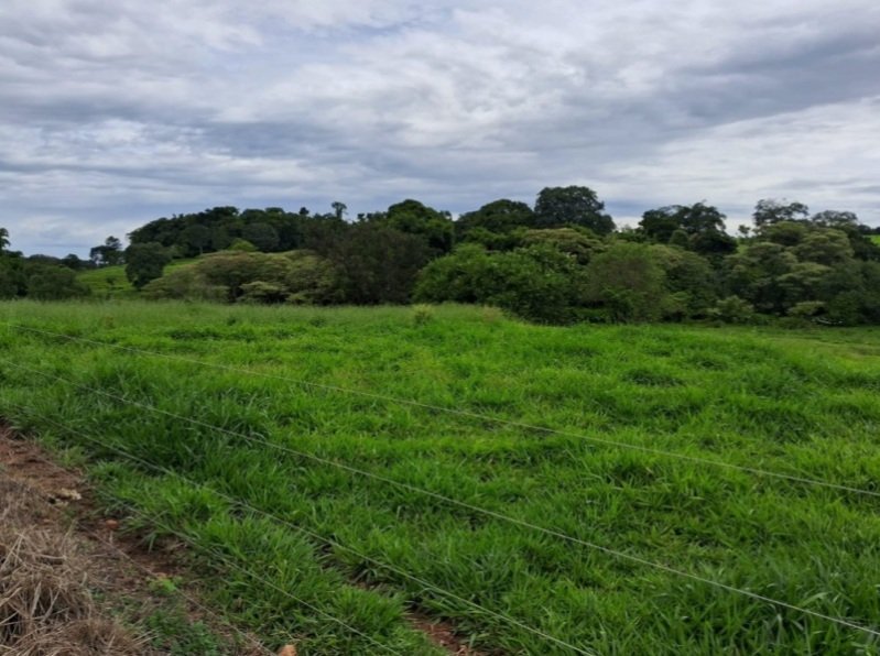 Terreno rural com ou sem benfeitorias em Jandaia/GO