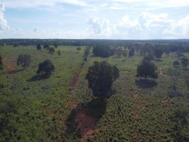 ID Bem 147625 - Lote:
    1 - 3.466 - ARAGUACU/TO - GLEBA - COM ÁREA DE 52.66.00ha em Araguaçu/TO - foto 3