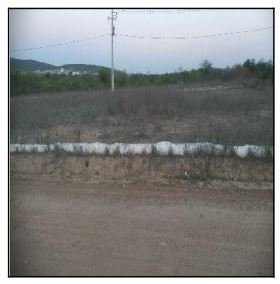 Terreno, 0.00 de área total, 0.00 de área privativa, 126.00 de área do terreno. em Jataúba/PE