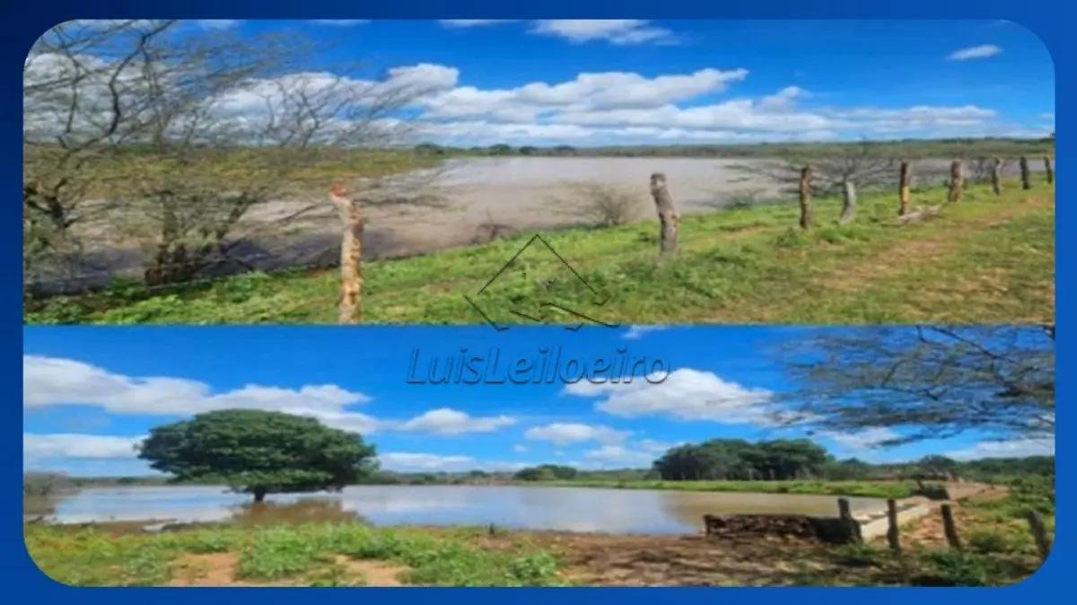 SÍTIO - Sítio Maracajá (Maracajá e Santana), às margens da BR-412, São João do Cariri/PB, em São João do Cariri/PB
