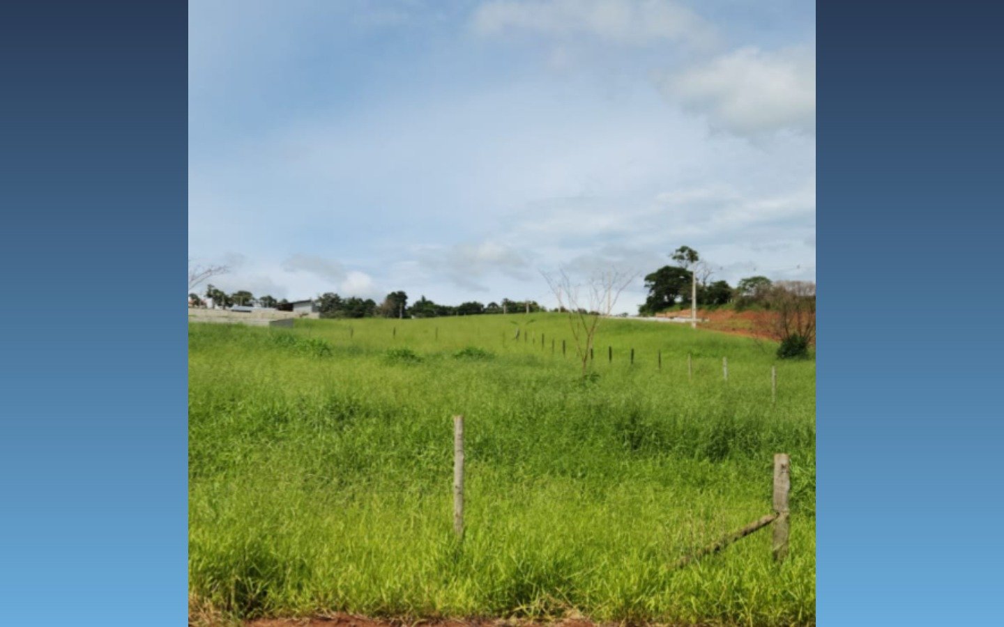 Terreno de 1.000m² — São Sebastião da Bela Vista/MG em São Sebastião da Bela Vista/MG - foto 2