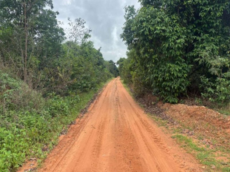 Fazenda, Rural, Rural em Bom Jardim de Goiás/GO - foto 6