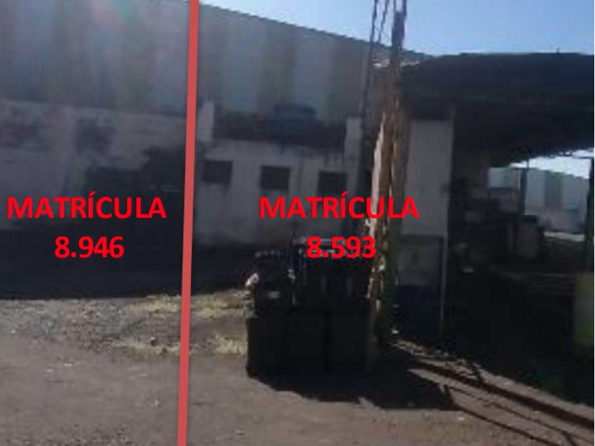 Imagem leilão