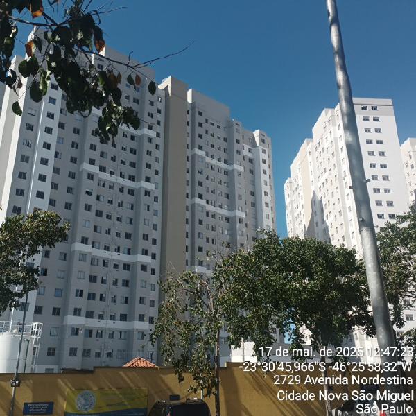 Imagem leilão