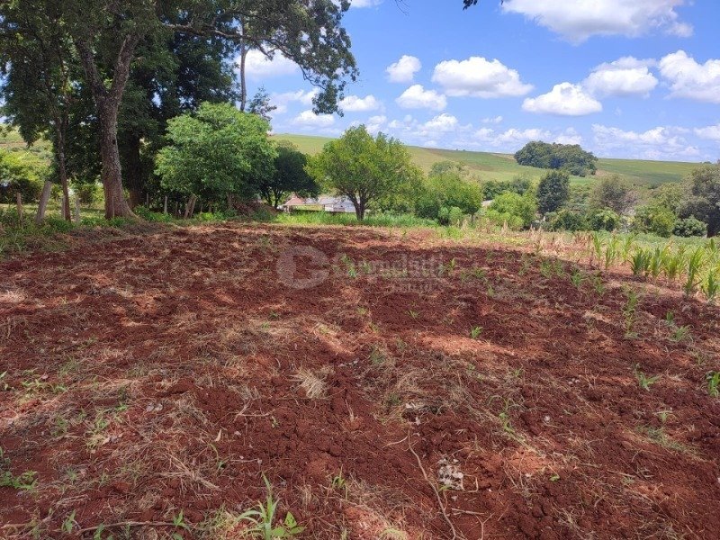 1.100m², Dona Otília,  Roque Gonzales/RS em Roque Gonzales/RS - foto 3