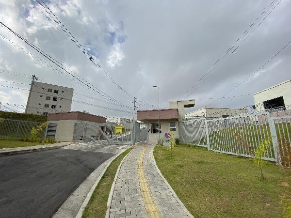Imagem leilão