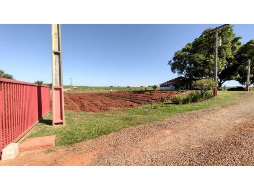Imagem leilão