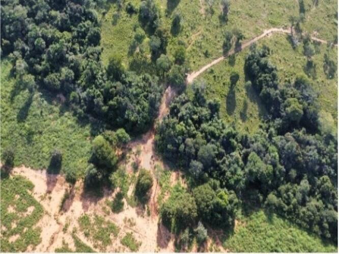 ID Bem 147625 - Lote:
    1 - 3.466 - ARAGUACU/TO - GLEBA - COM ÁREA DE 52.66.00ha em Araguaçu/TO