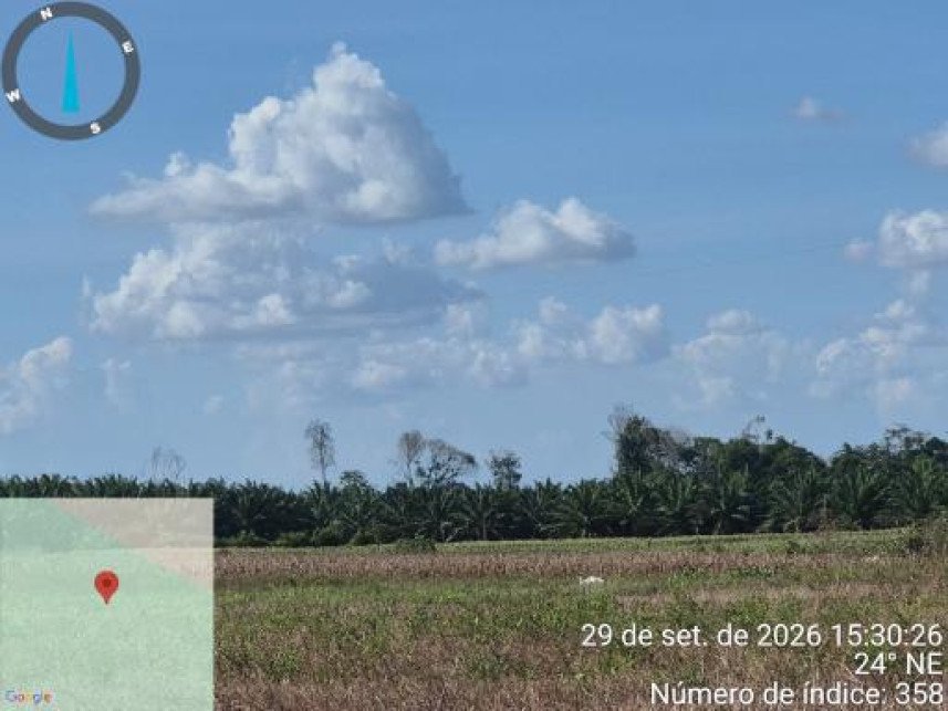 Área Rural à venda em leilão - Colônia Tailândia, Km 25, s/n - Interior - Tailândia / PA em Tailândia/PA - foto 14