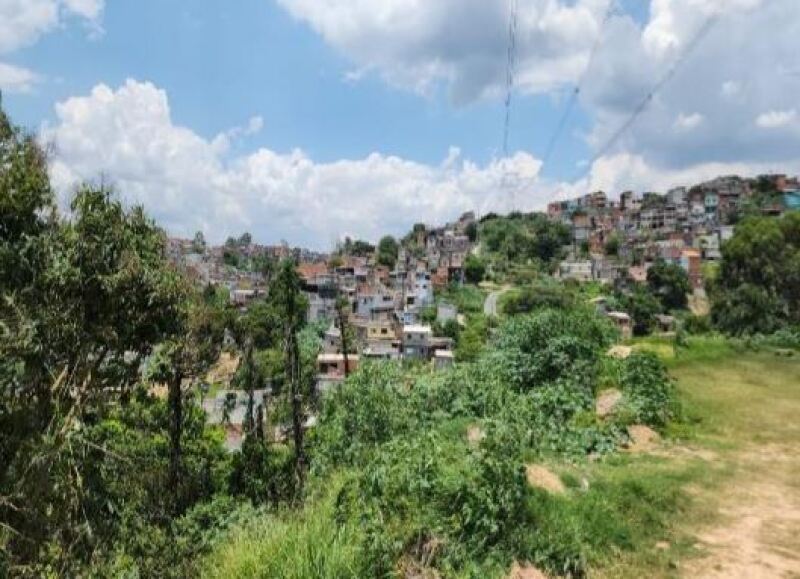 Imagem leilão