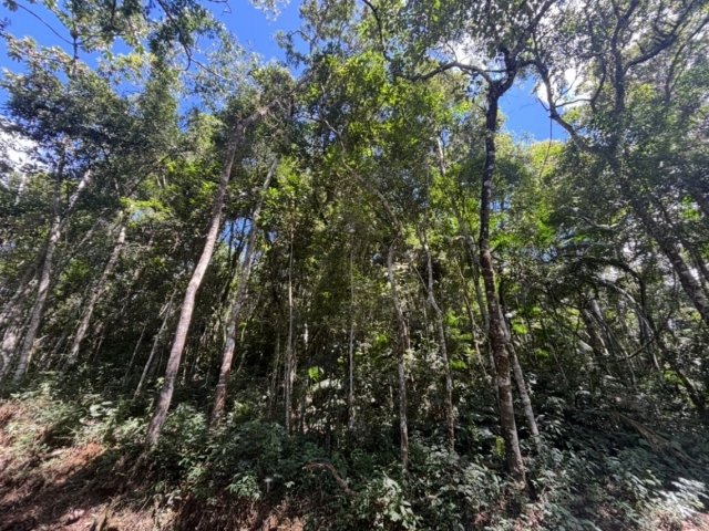 
                        Terreno, A.T.: 6.210m², Cond. Paço de São Luiz, Quebra Frascos, em Teresópolis/RJ - foto 2