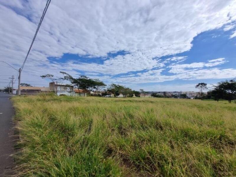 Imóvel em Araraquara/SP - foto 5
