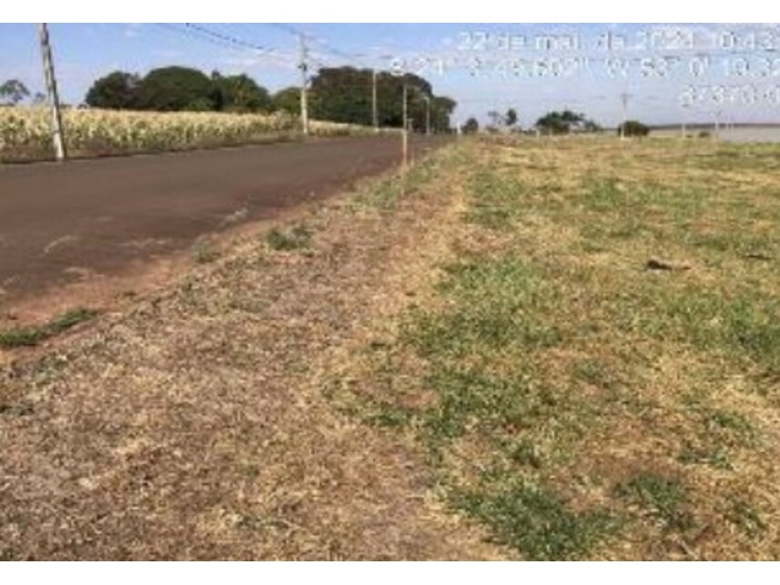 Imagem leilão