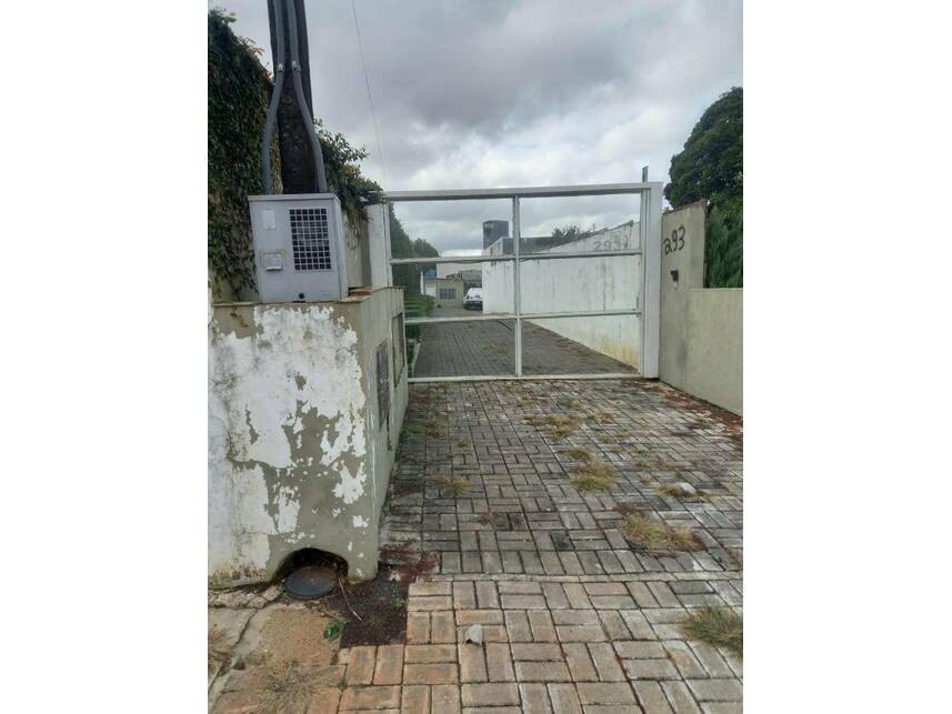 Imagem leilão