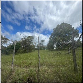 Gleba, 0.00 de área total, 0.00 de área privativa, 30003.00 de área do terreno. em Canhotinho/PE
